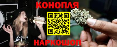 индика Нальчик