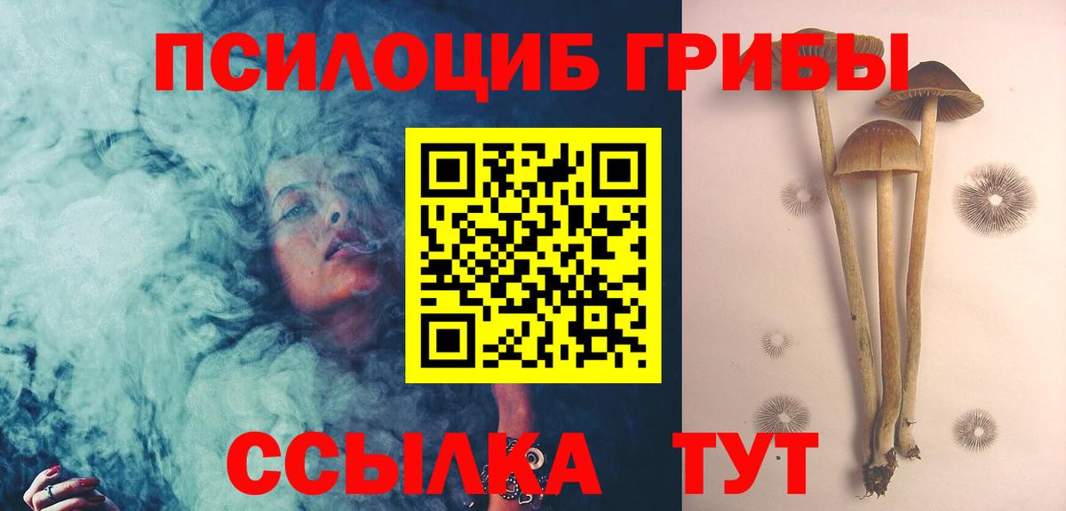 Псилоцибиновые грибы Psilocybine cubensis Электрогорск
