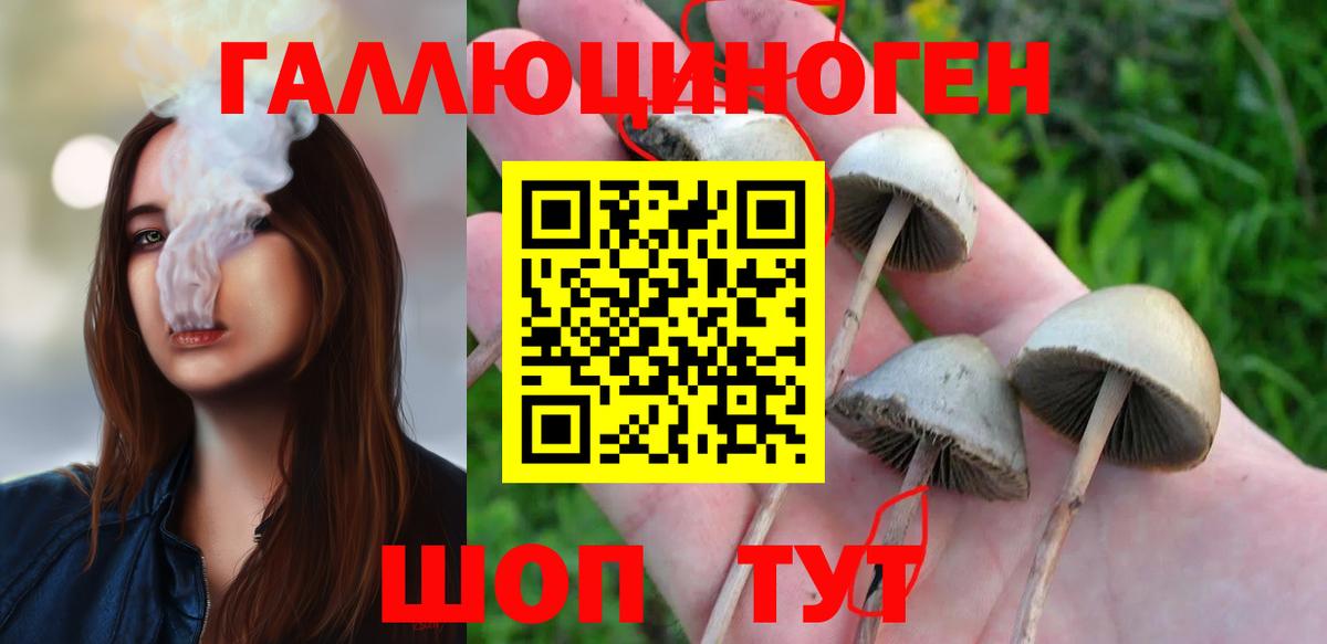 Псилоцибиновые грибы ЛСД  Вход с VPN  Электрогорск 
